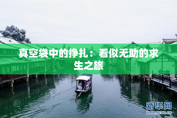 真空袋中的挣扎：看似无助的求生之旅