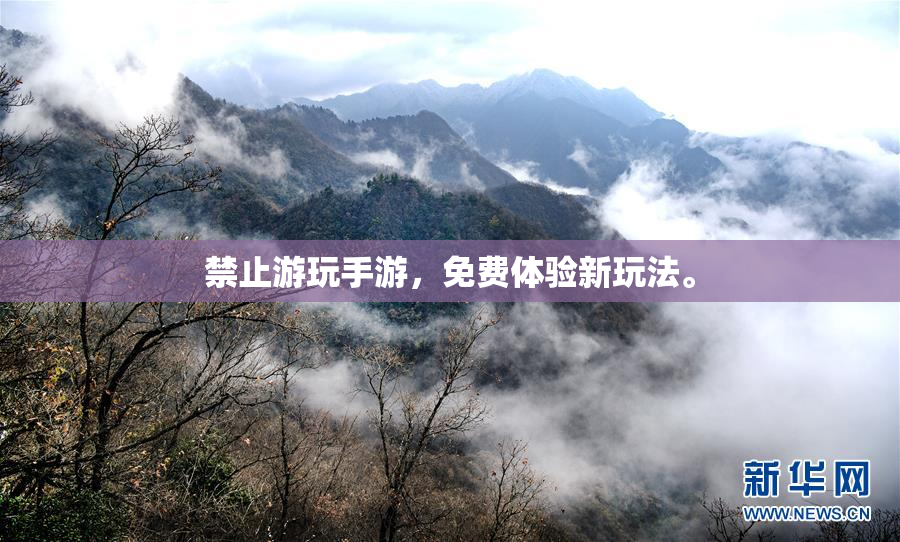 禁止游玩手游，免费体验新玩法。