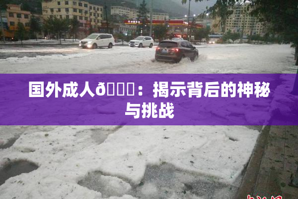 国外成人🔞：揭示背后的神秘与挑战