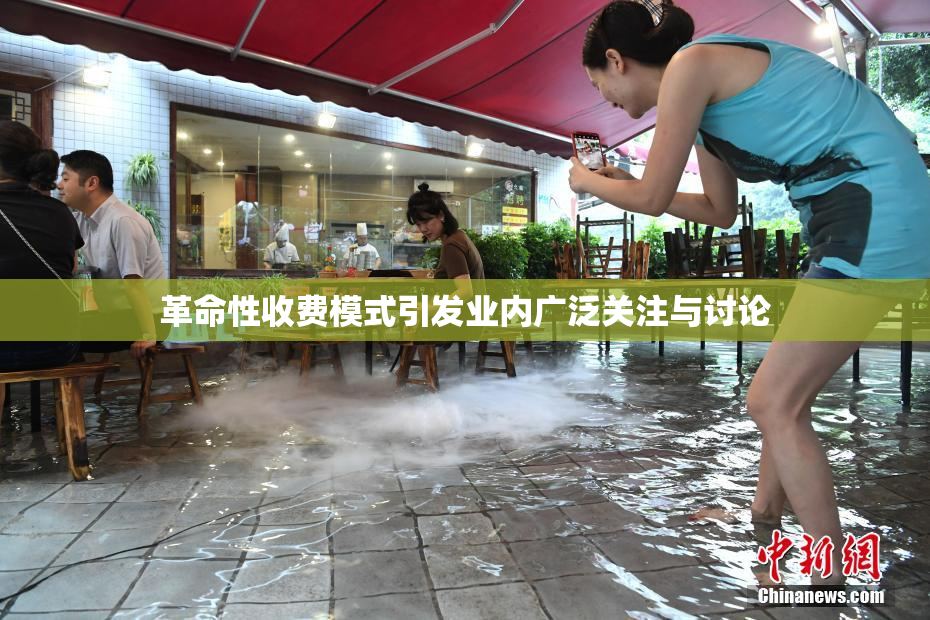 革命性收费模式引发业内广泛关注与讨论
