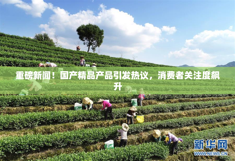 重磅新闻！国产精品产品引发热议，消费者关注度飙升