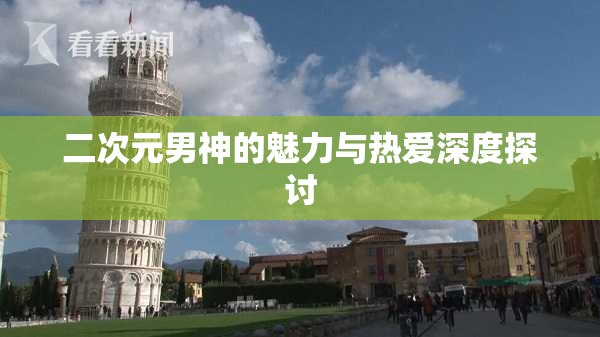 二次元男神的魅力与热爱深度探讨
