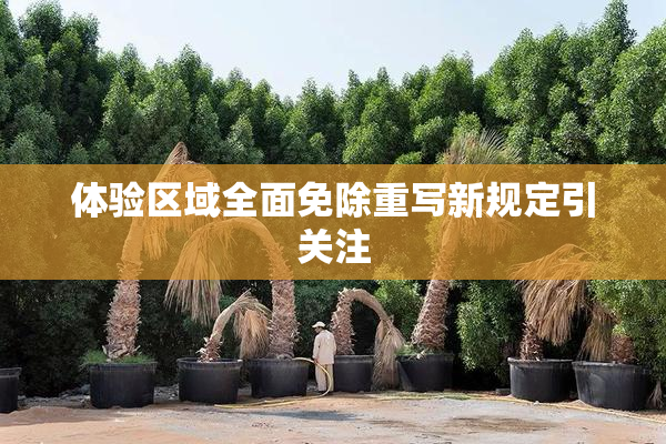 体验区域全面免除重写新规定引关注