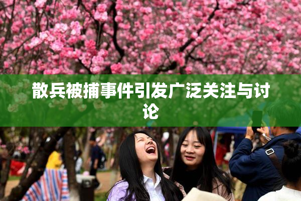 散兵被捕事件引发广泛关注与讨论