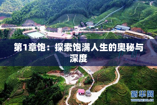 第1章饱：探索饱满人生的奥秘与深度