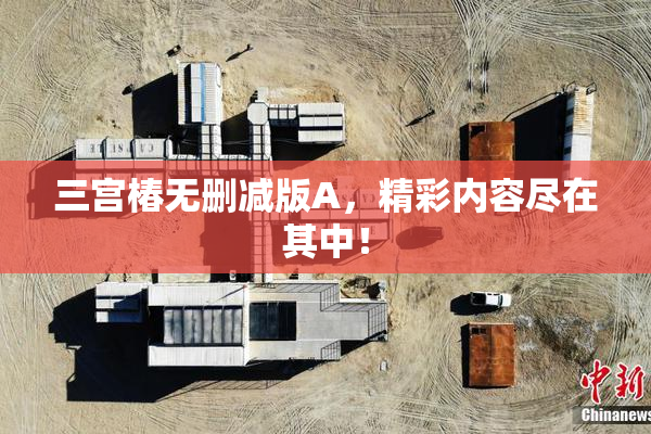 三宫椿无删减版A，精彩内容尽在其中！