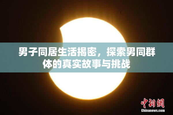 男子同居生活揭密，探索男同群体的真实故事与挑战