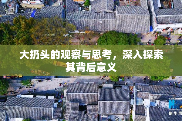 大扔头的观察与思考，深入探索其背后意义