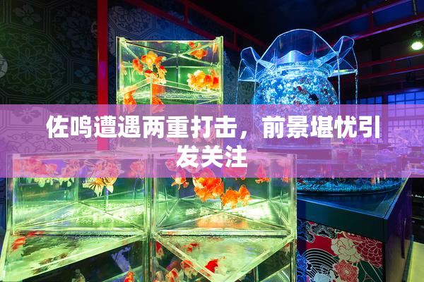 佐鸣遭遇两重打击，前景堪忧引发关注