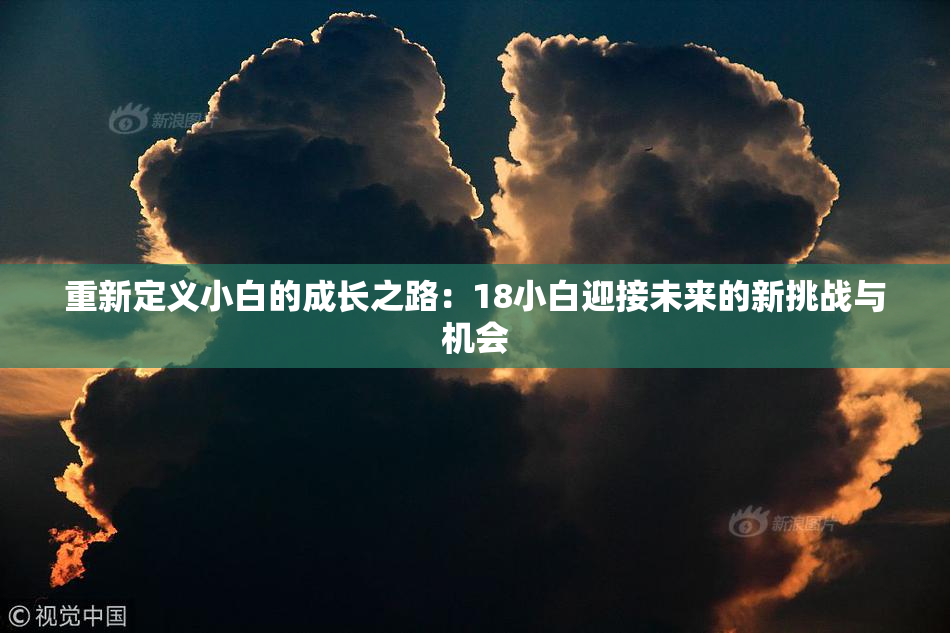 重新定义小白的成长之路：18小白迎接未来的新挑战与机会