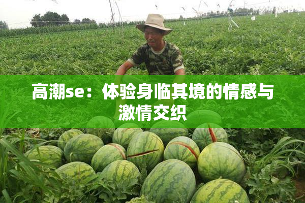 高潮se：体验身临其境的情感与激情交织