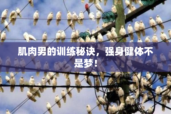 肌肉男的训练秘诀，强身健体不是梦！