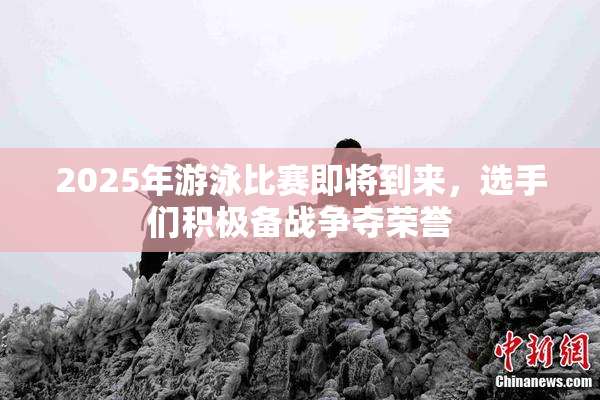 2025年游泳比赛即将到来，选手们积极备战争夺荣誉