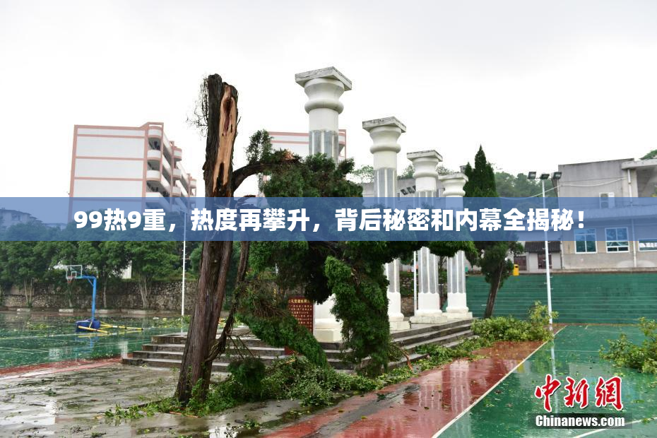 99热9重，热度再攀升，背后秘密和内幕全揭秘！