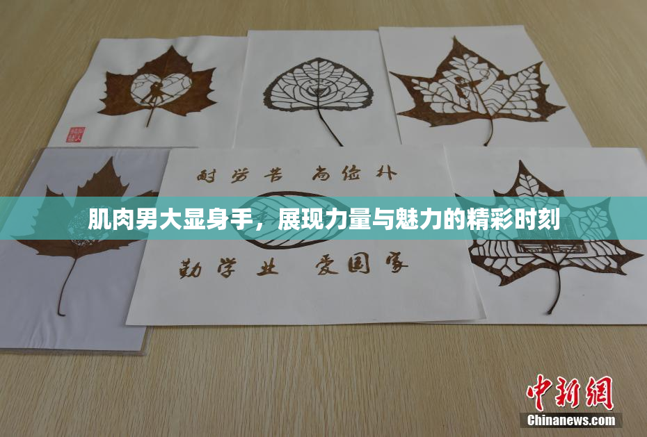 肌肉男大显身手，展现力量与魅力的精彩时刻