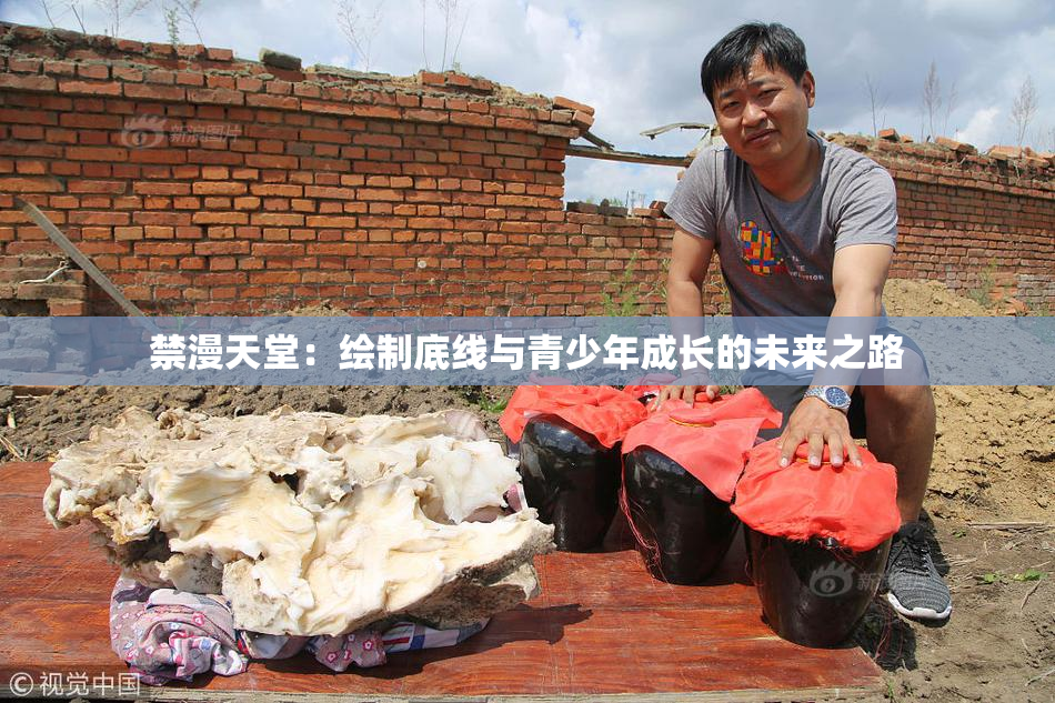 禁漫天堂：绘制底线与青少年成长的未来之路
