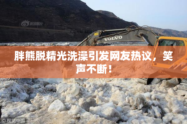 胖熊脱精光洗澡引发网友热议，笑声不断！