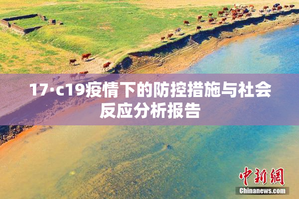 17·c19疫情下的防控措施与社会反应分析报告