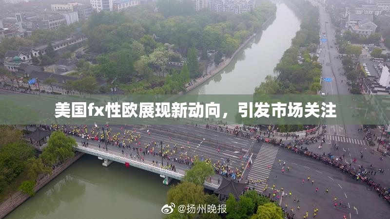 美国fx性欧展现新动向，引发市场关注