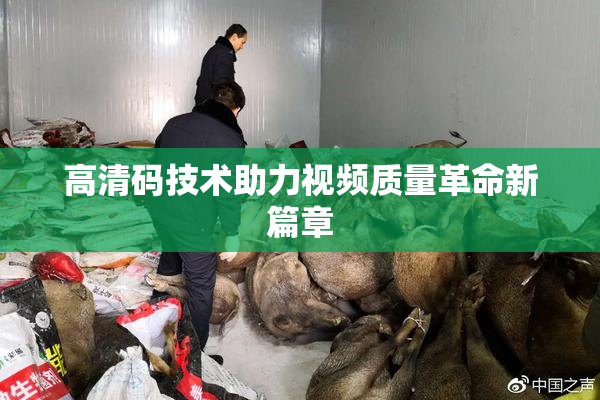 高清码技术助力视频质量革命新篇章