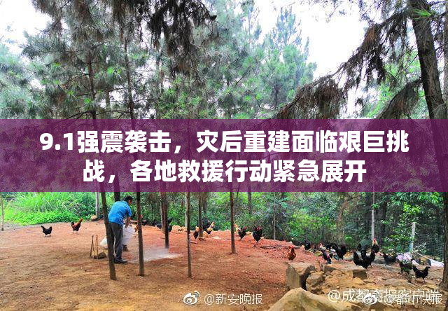 9.1强震袭击，灾后重建面临艰巨挑战，各地救援行动紧急展开