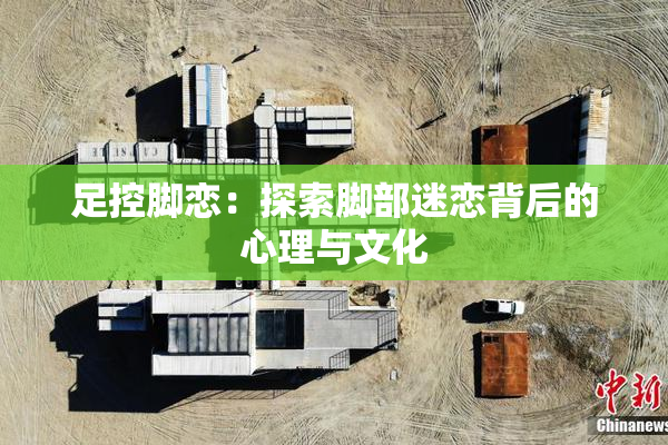 足控脚恋：探索脚部迷恋背后的心理与文化