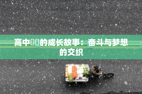 高中妺妺的成长故事：奋斗与梦想的交织