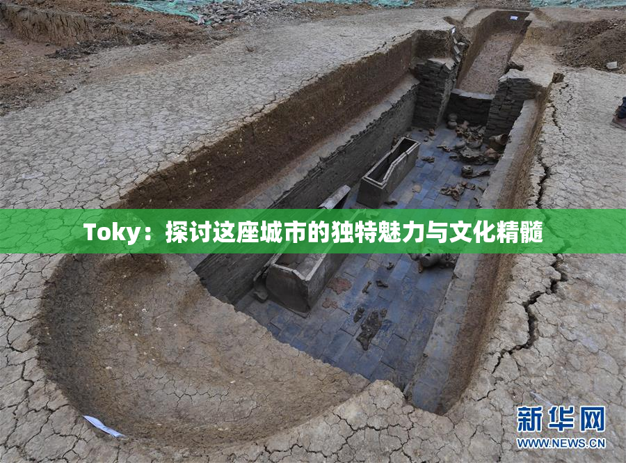Toky：探讨这座城市的独特魅力与文化精髓