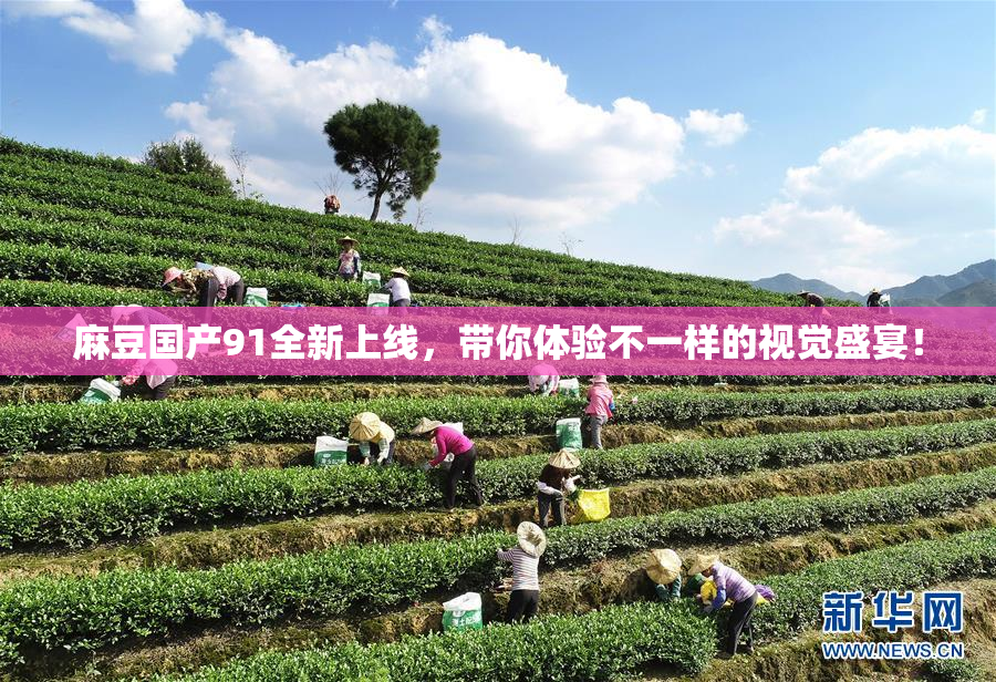 麻豆国产91全新上线，带你体验不一样的视觉盛宴！