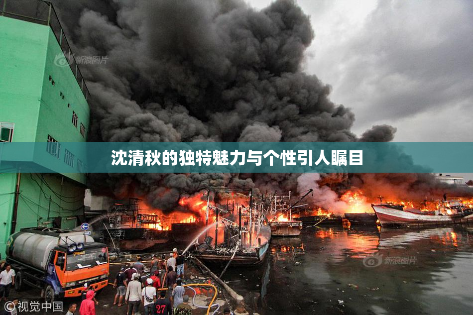 沈清秋的独特魅力与个性引人瞩目