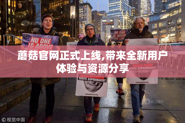蘑菇官网正式上线,带来全新用户体验与资源分享