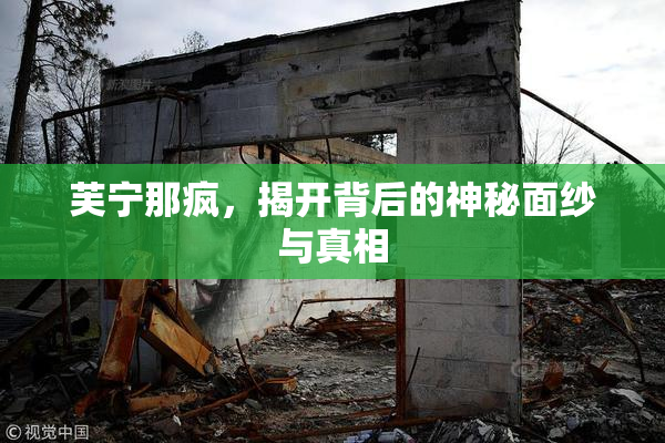 芙宁那疯，揭开背后的神秘面纱与真相
