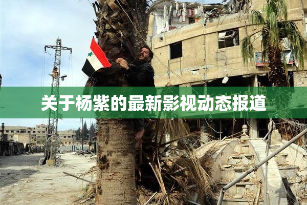 关于杨紫的最新影视动态报道