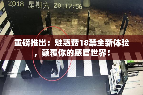 重磅推出：魅惑菇18禁全新体验，颠覆你的感官世界！