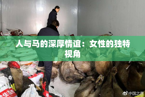 人与马的深厚情谊：女性的独特视角