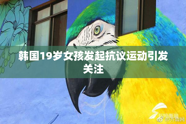 韩国19岁女孩发起抗议运动引发关注