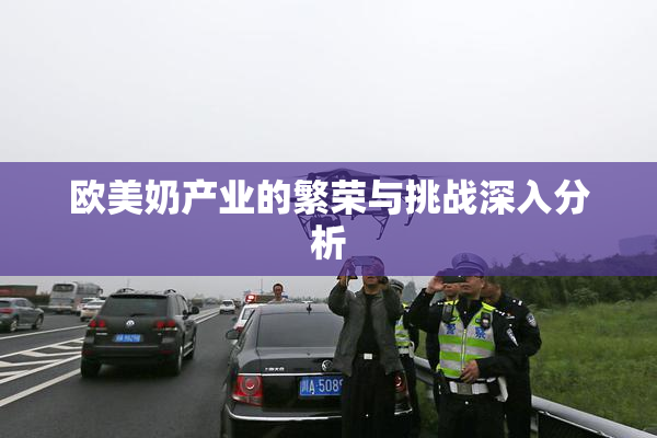 欧美奶产业的繁荣与挑战深入分析