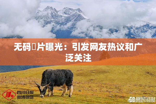 无码婬片曝光：引发网友热议和广泛关注