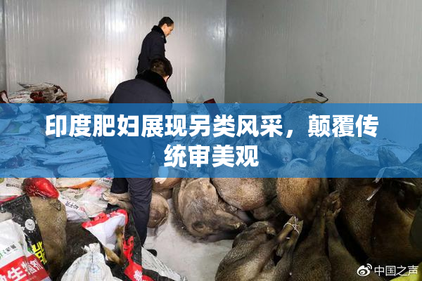 印度肥妇展现另类风采，颠覆传统审美观