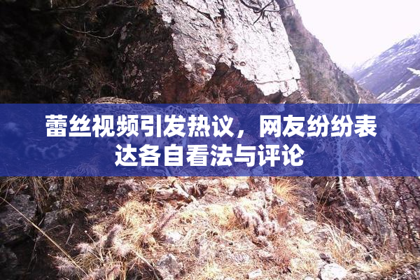 蕾丝视频引发热议，网友纷纷表达各自看法与评论