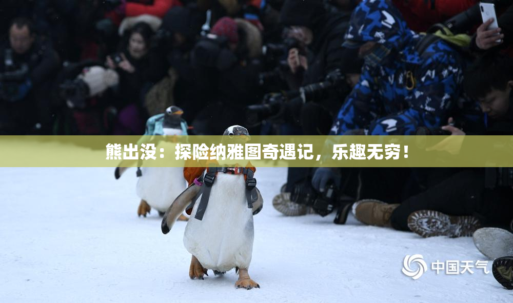 熊出没：探险纳雅图奇遇记，乐趣无穷！
