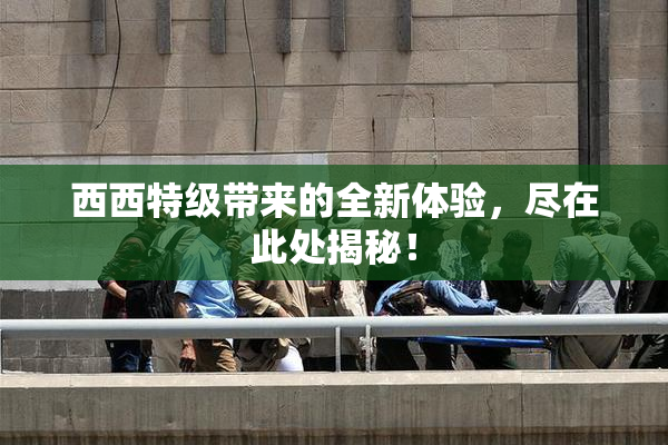 西西特级带来的全新体验，尽在此处揭秘！