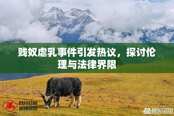 贱奴虐乳事件引发热议，探讨伦理与法律界限