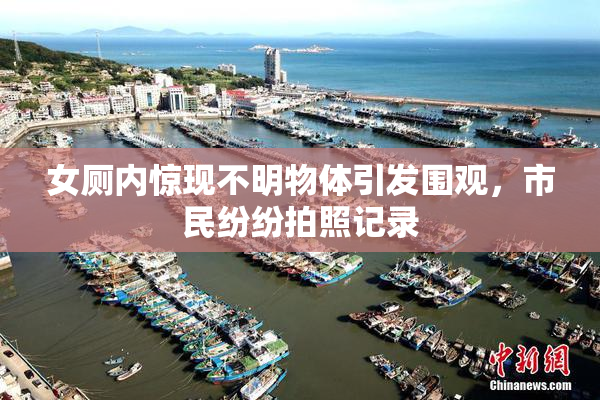 女厕内惊现不明物体引发围观，市民纷纷拍照记录