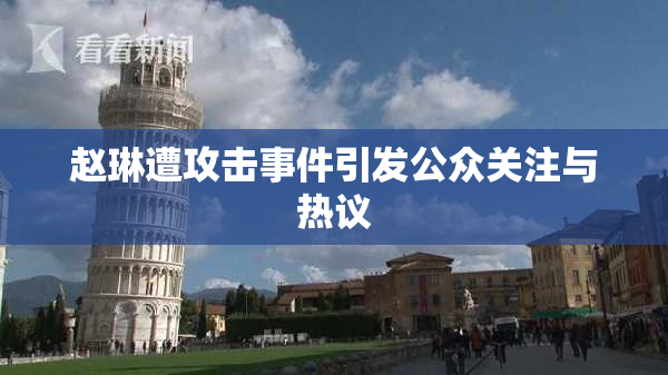 赵琳遭攻击事件引发公众关注与热议