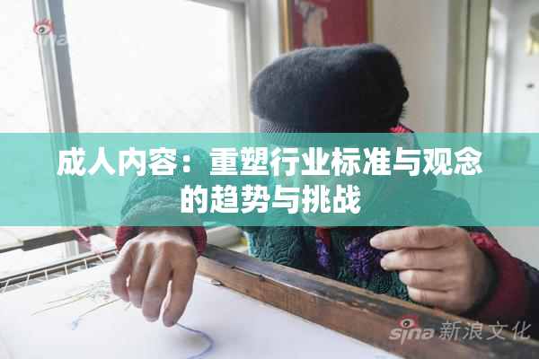 成人内容：重塑行业标准与观念的趋势与挑战