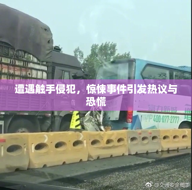 遭遇触手侵犯，惊悚事件引发热议与恐慌