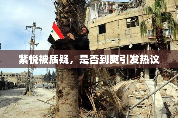 紫悦被质疑，是否到爽引发热议