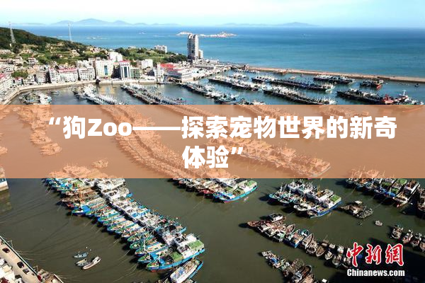 “狗Zoo——探索宠物世界的新奇体验”