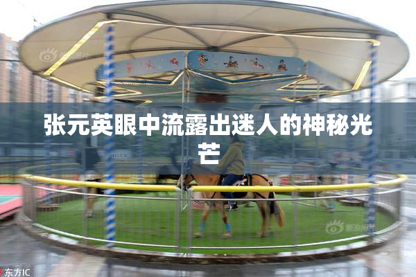 张元英眼中流露出迷人的神秘光芒